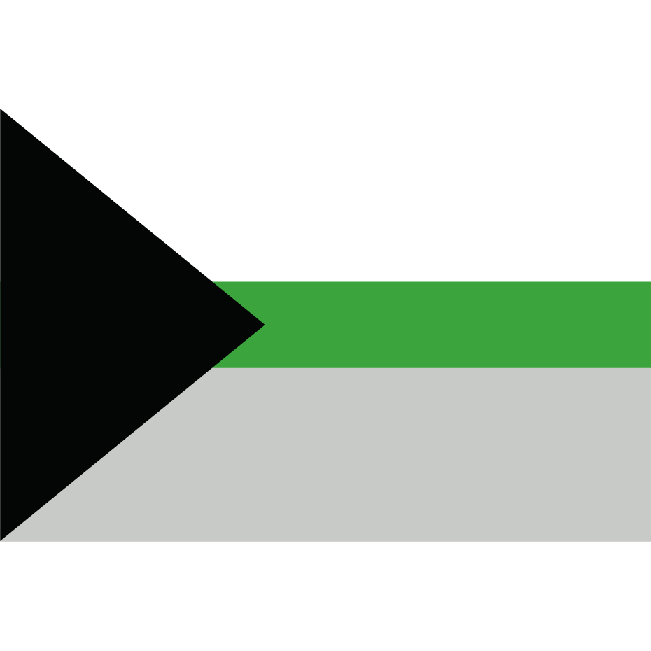 Demiromantic Pride Flag 3' x 5'