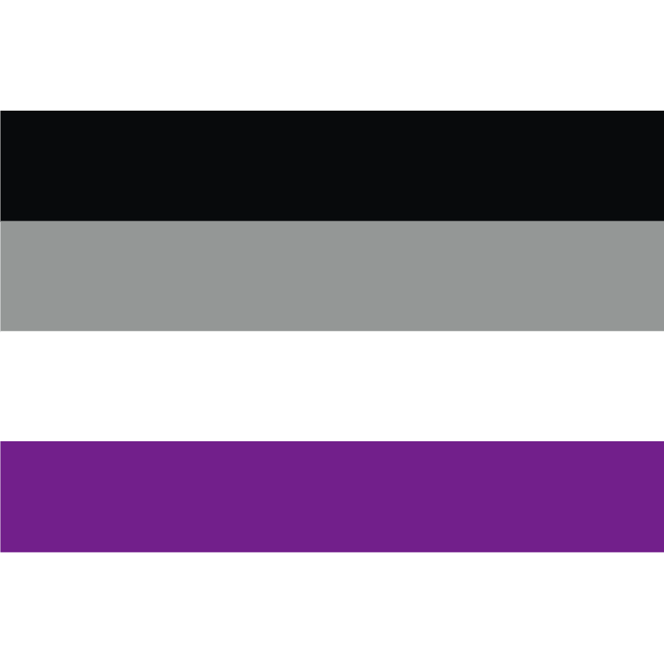 Asexual Pride Sticker