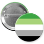 Aromantic Pride Pinback Button