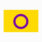 Intersex Pride Flag 3' x 5'