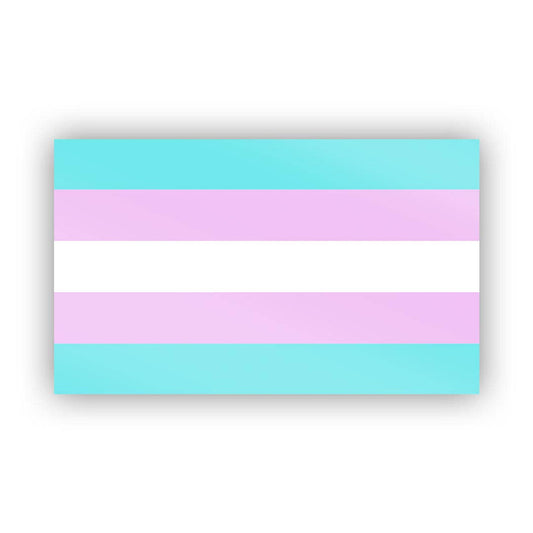 Trans Pride Sticker