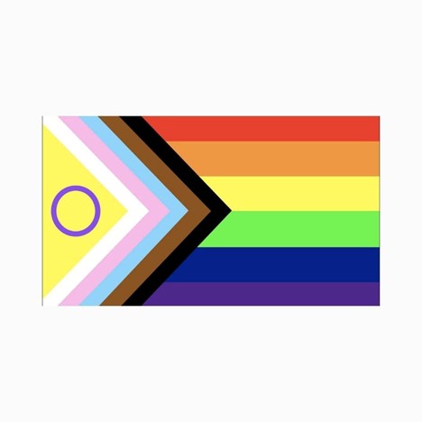 New Progress Pride Flag 3' x 5'