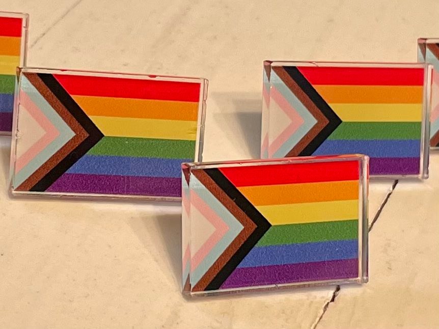 LGBTQ+ Progress Pin